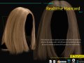 Realtime Haircard No2 3D 模型