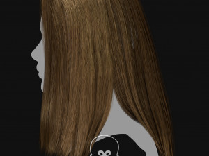 Realtime Haircard Vol 1 - No2 Modelo 3D