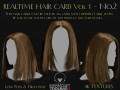 Realtime Haircard Vol 1 - No2 3D Модель