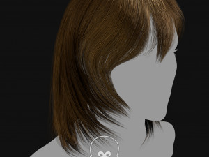 Realtime Haircard Vol 1 - No3 Modelo 3D