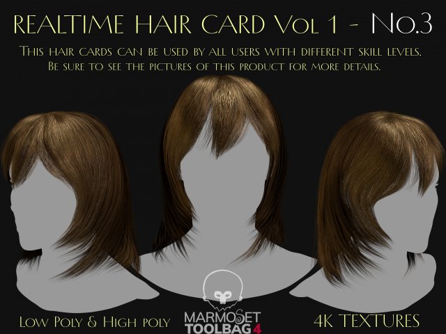 Realtime Haircard Vol 1 - No3 Modelo 3D .c4d .max .obj .3ds .fbx .stl .blend 
