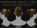 Realtime Haircard Vol 1 - No5 3D Модель