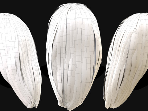 Realtime Haircard No4 3D Model
