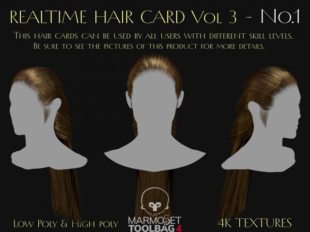 Realtime Haircard Vol 3 - No1 Modello 3D .c4d .max .obj .3ds .fbx .stl .blend 