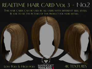 Realtime Haircard Vol 3 - No2 3D Модель