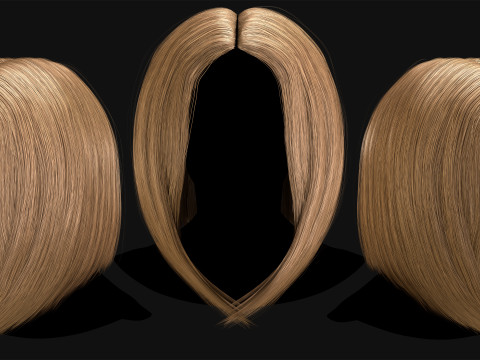 Realtime Haircard No12 3D 模型
