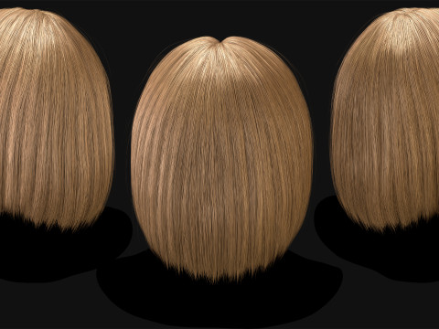 Realtime Haircard No12 3D 模型