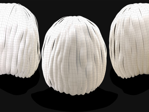 Realtime Haircard No12 3D 模型