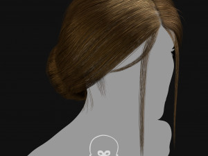 Realtime Haircard Vol 3 - No3 3D Model