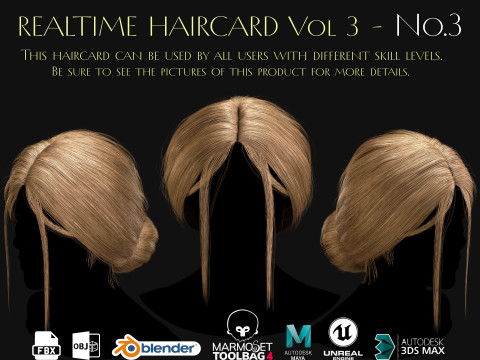 Realtime Haircard Vol 3 - No3 3D Model