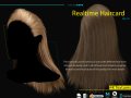 Realtime Haircard No14 3D Model