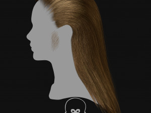 Realtime Haircard Vol 3 - No4 Modelo 3D