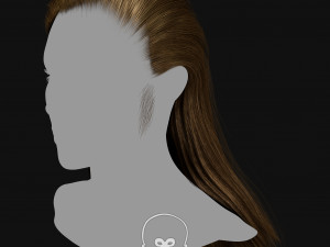 Realtime Haircard Vol 3 - No4 Modelo 3D