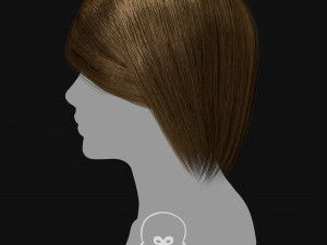 Realtime Haircard Vol 3 - No5 3Dモデル