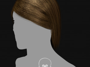 Realtime Haircard Vol 3 - No5 3Dモデル