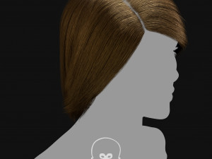 Realtime Haircard Vol 3 - No5 3Dモデル