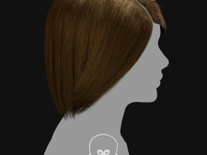 Realtime Haircard Vol 3 - No5 3Dモデル