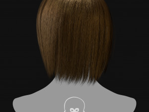 Realtime Haircard Vol 3 - No5 3Dモデル