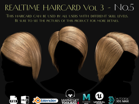 Realtime Haircard Vol 3 - No5 3D मॉडल