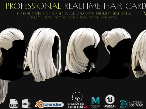 Professional Realtime Haircard Vol 1 3D Модель