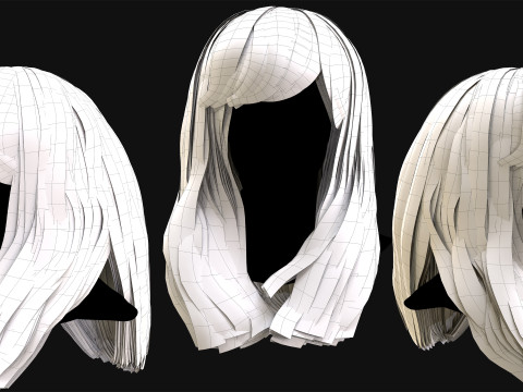 Professional Realtime Haircard Vol 1 3D Модель