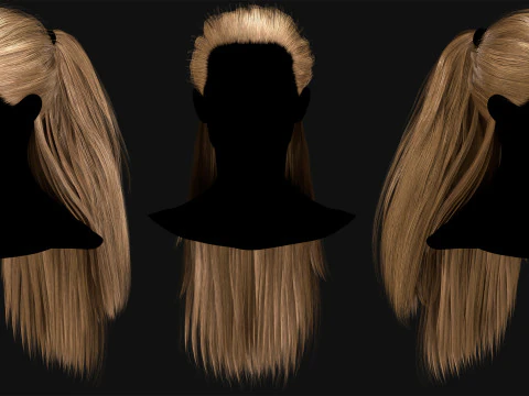 Professional Realtime Haircard Vol 1 3D Model