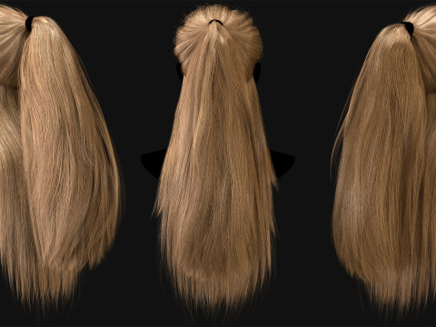 Professional Realtime Haircard Vol 1 3D Модель