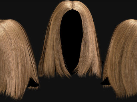 Professional Realtime Haircard Vol 1 3D Модель