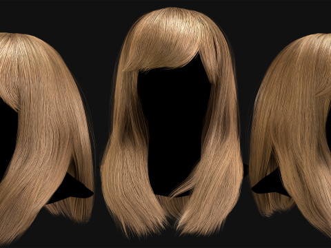 Professional Realtime Haircard Vol 1 3D Модель