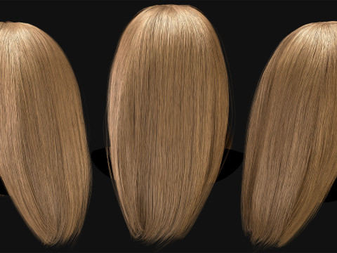 Professional Realtime Haircard Vol 1 3D Модель