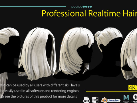 Professional Realtime Haircard Vol 1 3D 模型