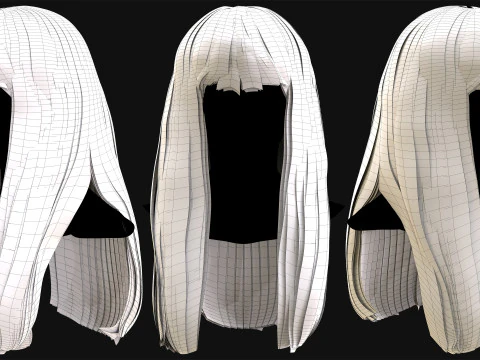 Professional Realtime Haircard Vol 2 3D Model