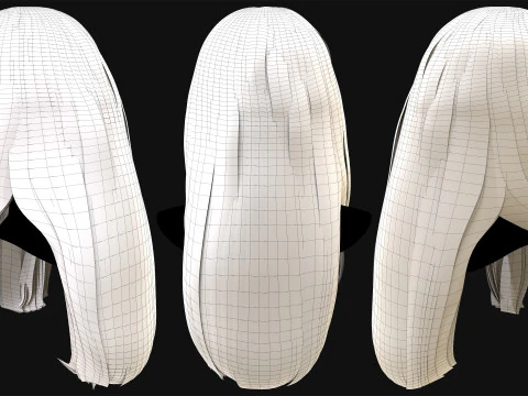 Professional Realtime Haircard Vol 2 3D Model
