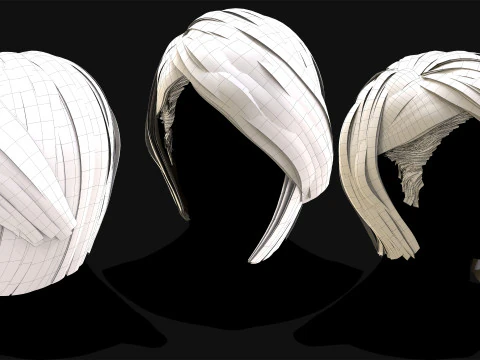 Professional Realtime Haircard Vol 2 3D Model