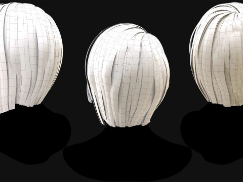 Professional Realtime Haircard Vol 2 3D Model