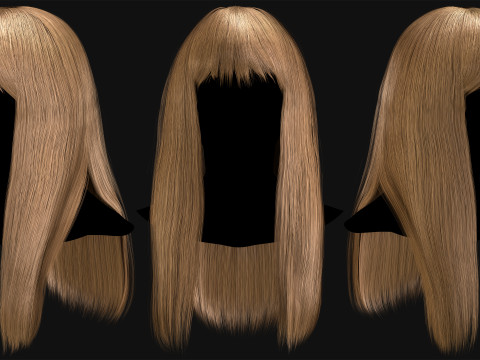 Professional Realtime Haircard Vol 2 3D 模型