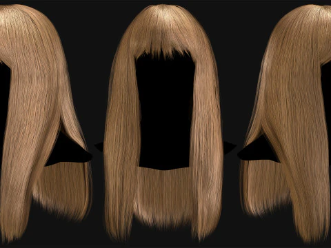 Professional Realtime Haircard Vol 2 3D Model