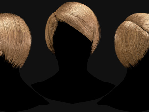 Professional Realtime Haircard Vol 2 3D 模型