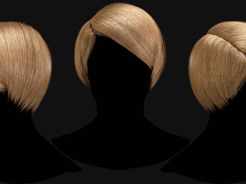 Professional Realtime Haircard Vol 2 3D Model