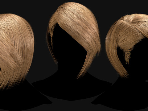 Professional Realtime Haircard Vol 2 3D 模型