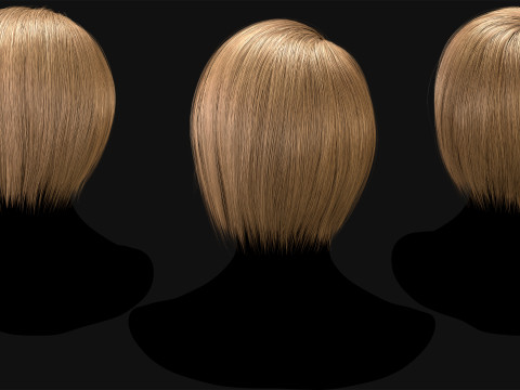 Professional Realtime Haircard Vol 2 3D 模型