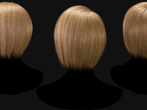 Professional Realtime Haircard Vol 2 3D Model