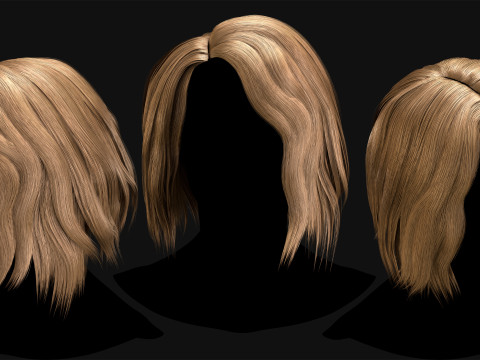 Professional Realtime Haircard Vol 2 3D 模型