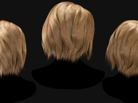 Professional Realtime Haircard Vol 2 3D 模型
