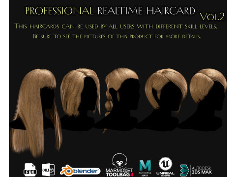 Professional Realtime Haircard Vol 2 3D Model
