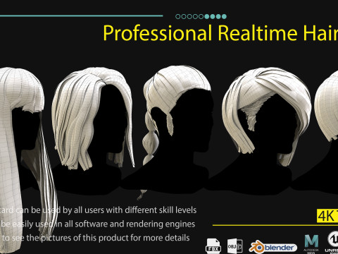Professional Realtime Haircard Vol 2 3D 模型