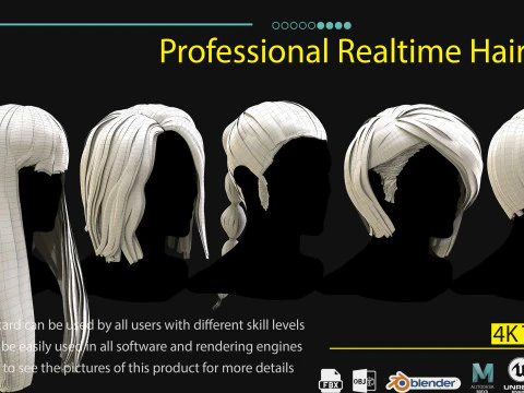 Professional Realtime Haircard Vol 2 3D Model