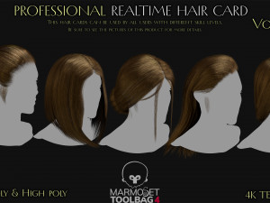 Professional Realtime Haircard Vol 3 3D मॉडल