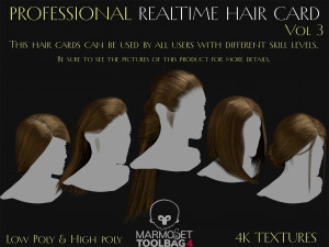 Professional Realtime Haircard Vol 3 3D Модель