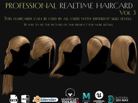 Professional Realtime Haircard Vol 3 3D Model